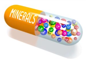 תזונה בריאה